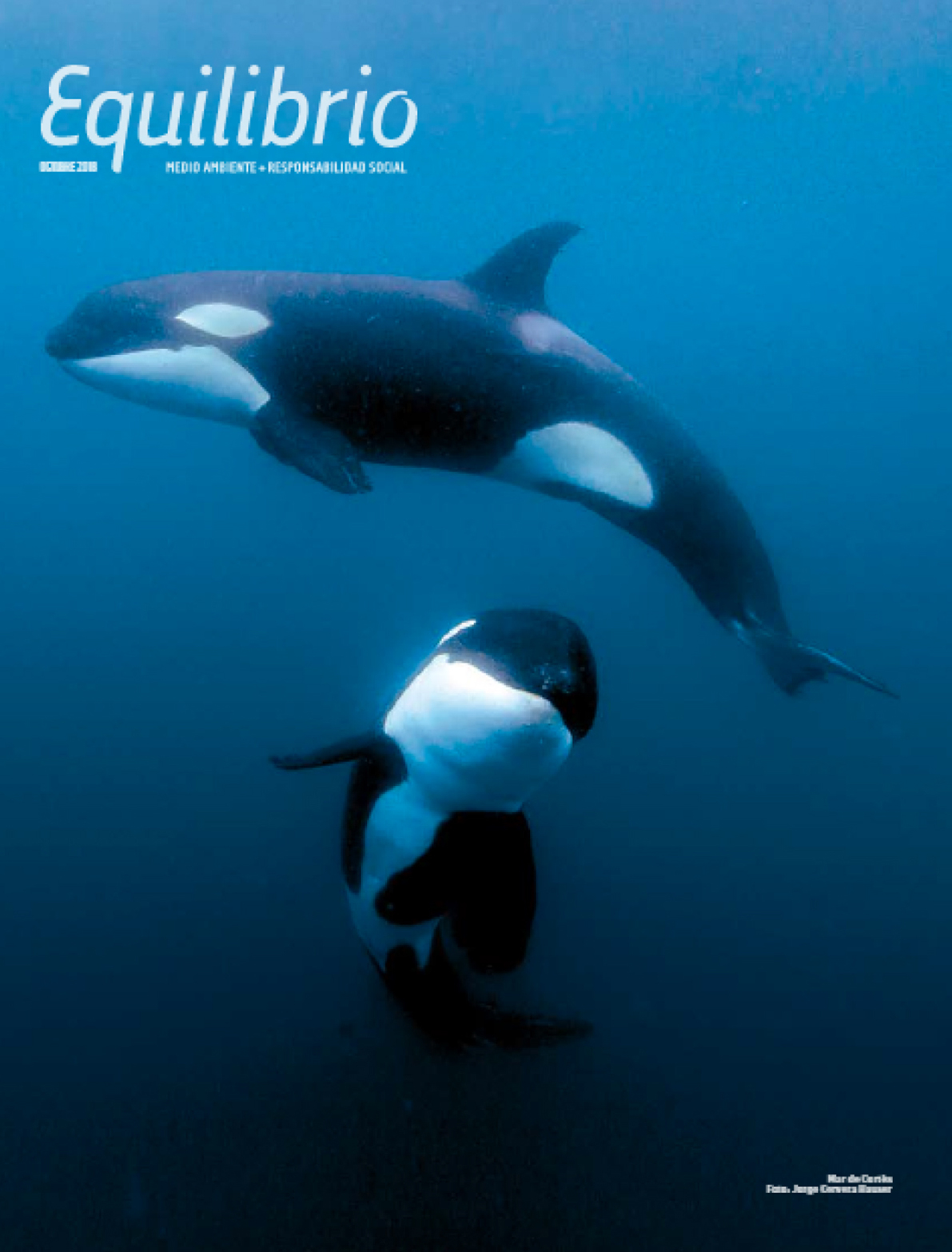 Mar de Cortés y Pacífico Sudcaliforniano